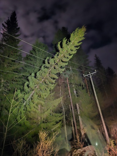 Puu nojaa sähköjohtoon